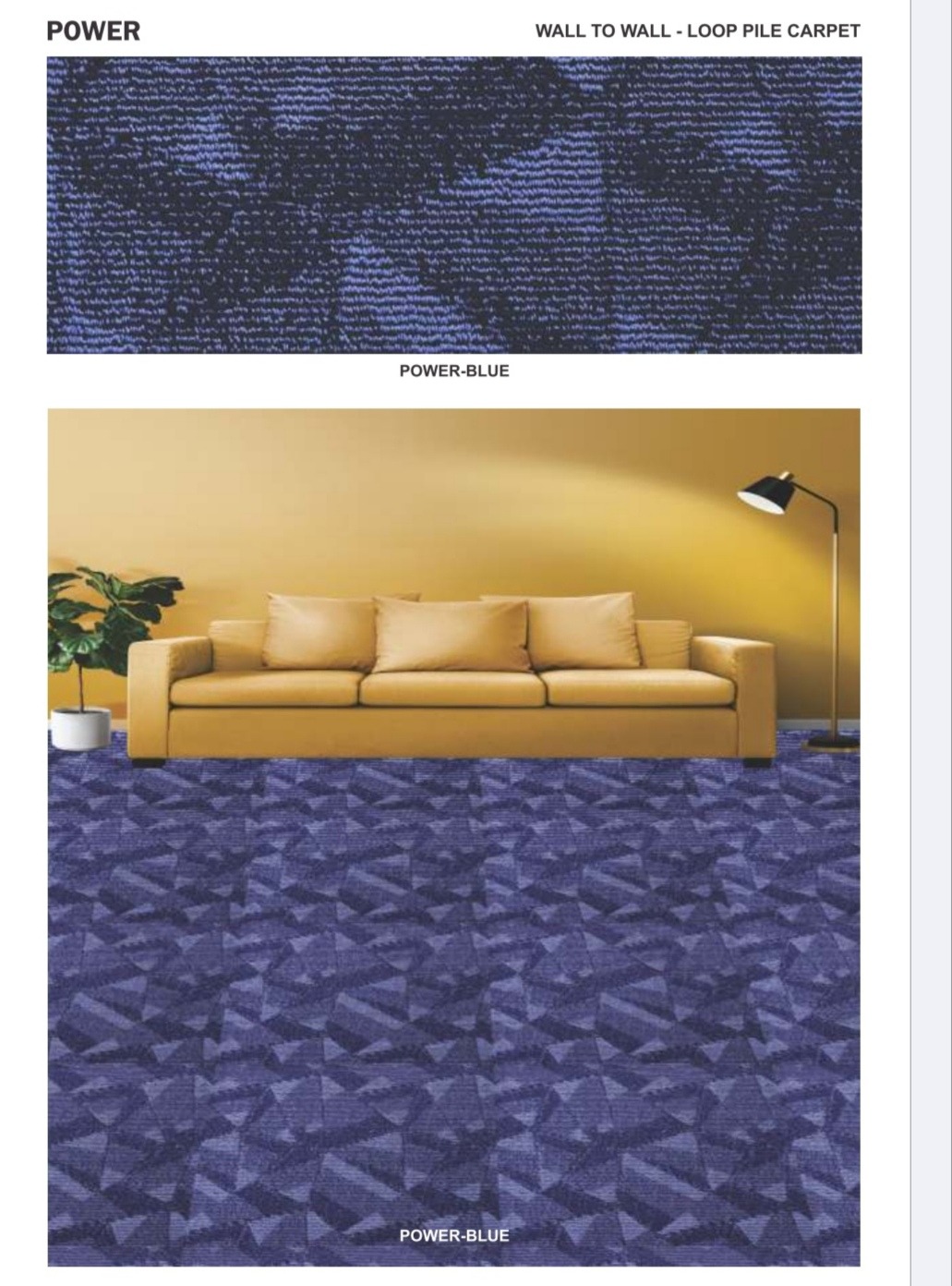 Premium Carpet Flooring